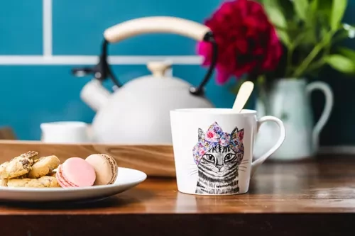 Чашка Mikasa Tipperleyhill Cat, 380 мл, порцеляна