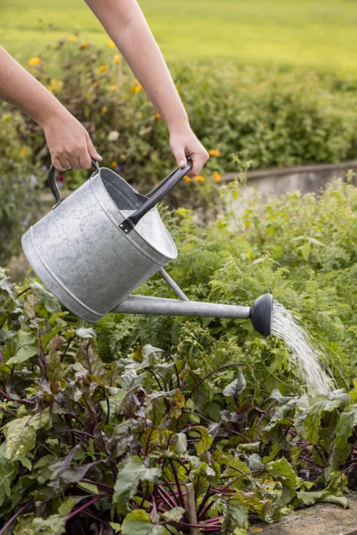 Лійка, 25*37*58 см, обʼєм 9 л, метал